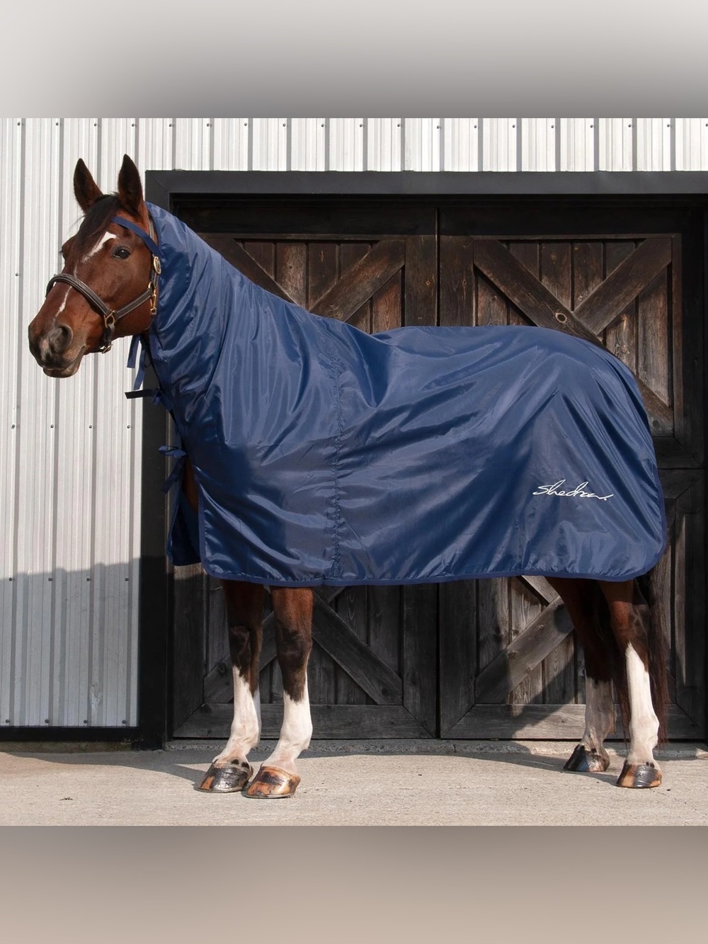 Shedrow Equestrian Ringside Rainsheet 0 g
